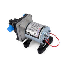 Load image into Gallery viewer, Shurflo Pump 4009 12V - Pump Only
